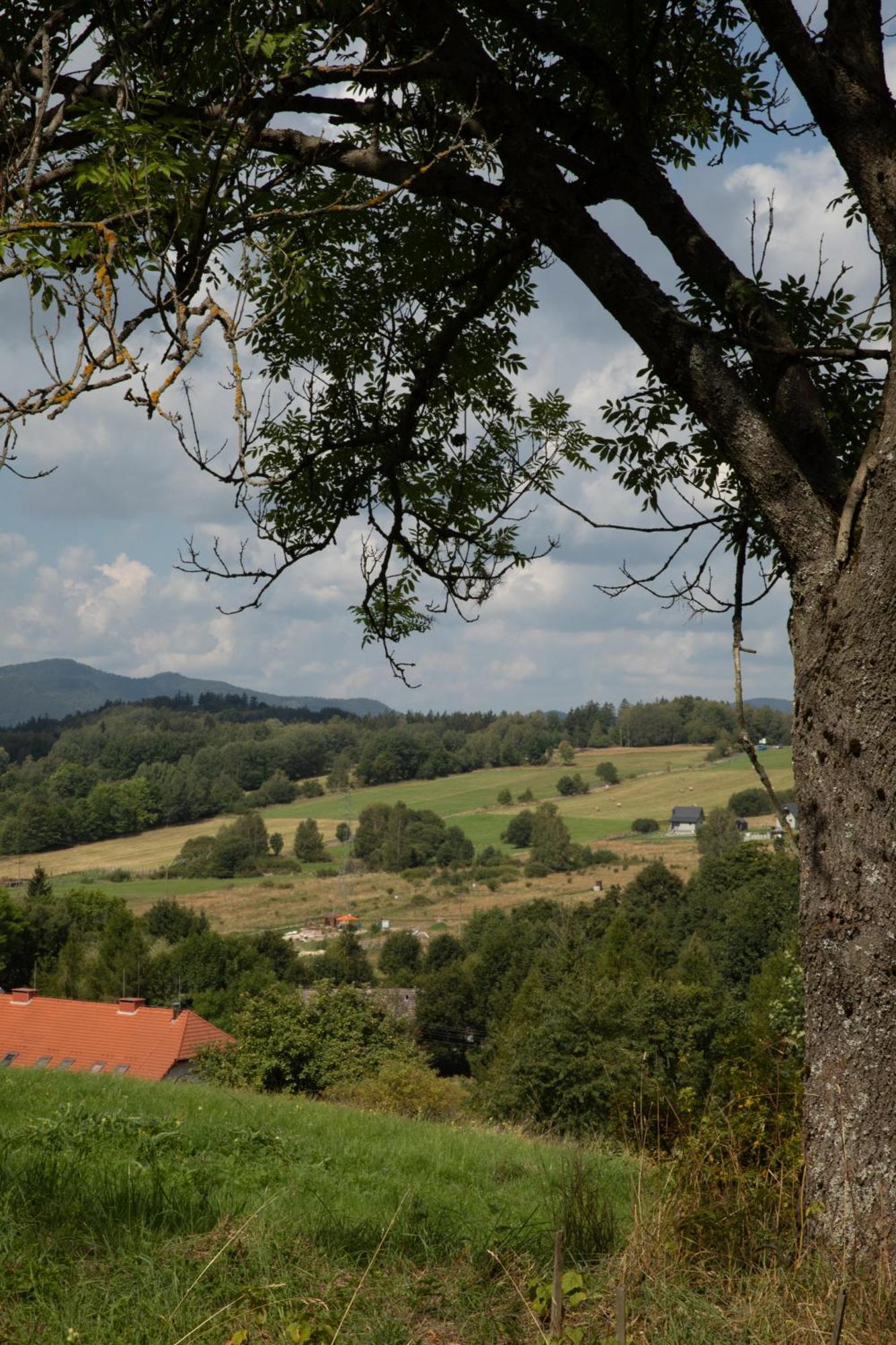 Dziki Domek Sierpnica Luaran gambar